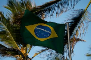 Brasilianische Fahne unter Palmen