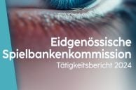 Screenshot ESBK-Bericht 2024