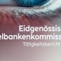 Screenshot ESBK-Bericht 2024