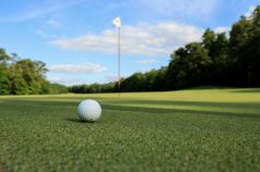 Golfball auf dem Grün