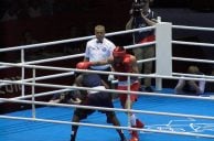 Boxkampf