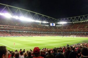 Fans im Stadion