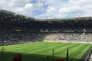 Fans im Fußballstadion