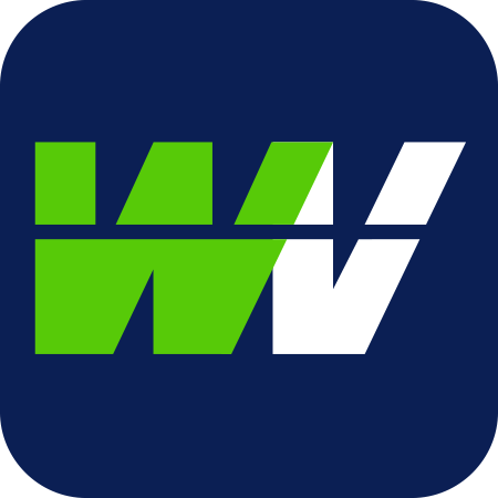 WinView Logo winview logo