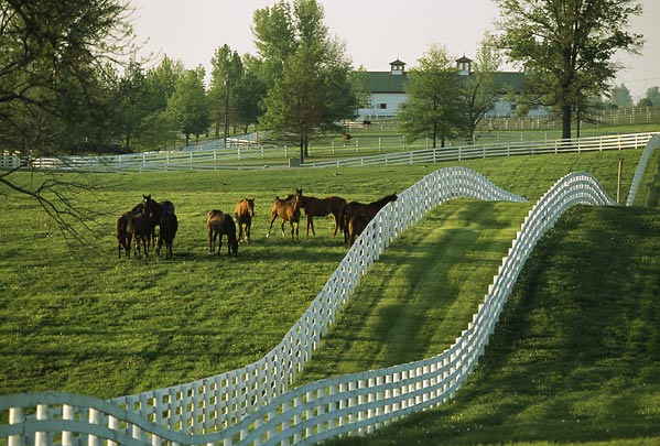 Kentucky gambling