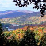 New York State Casino License Applications Coming In at Top Dollar