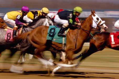 Arizona horse races wagering