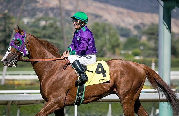 California Chrome Belmont Stakes Triple Crown