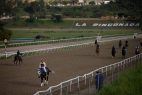 Venezuelan racehorse Rio Negro poisoned