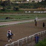 Venezuelan racehorse Rio Negro poisoned