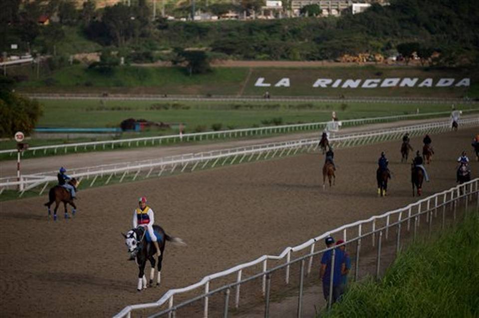 Venezuelan racehorse Rio Negro poisoned