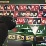 UK Councils in Revolt over “Crack Cocaine” FOBTs