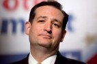 Ted Cruz 2016 GOP contender