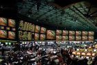 Nevada law sports betting businesses