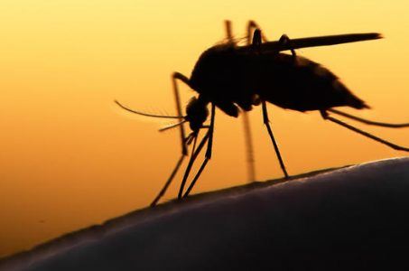 Zika virus good for business in Vegas