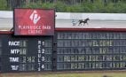 Plainridge Park Casino harness horse racing