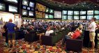 Vegas Golden Knights