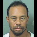 Tiger Woods DUI arrest golf odds