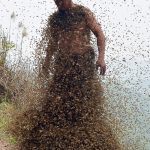 Thai Lottery Player Attacked by Killer Bees Discovers True Meaning of “Gambling Sting”