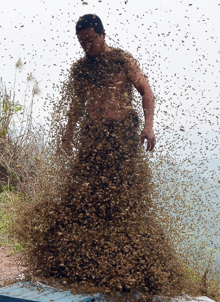 Bee swarm Thai lottery player