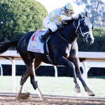 Wide Open Field for Kentucky Derby Provides Upset Possibilities