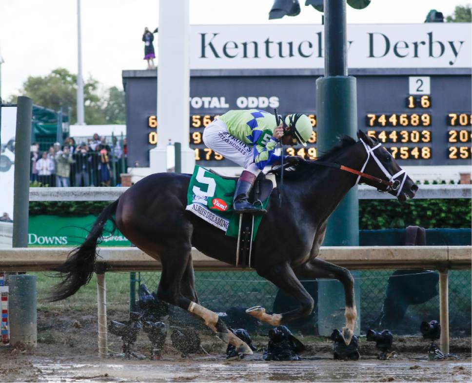 Preakness preview 