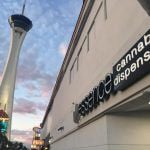 Already High on Millennials, Las Vegas Hopes Recreational Pot Attracts Younger Tourists