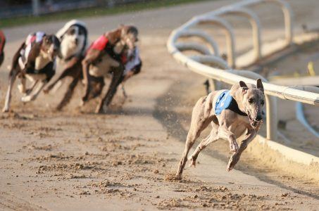 Florida Regulators Allow Magic City to Scrap Dog Racing