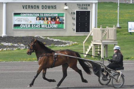 Vernon Downs racino track taxes