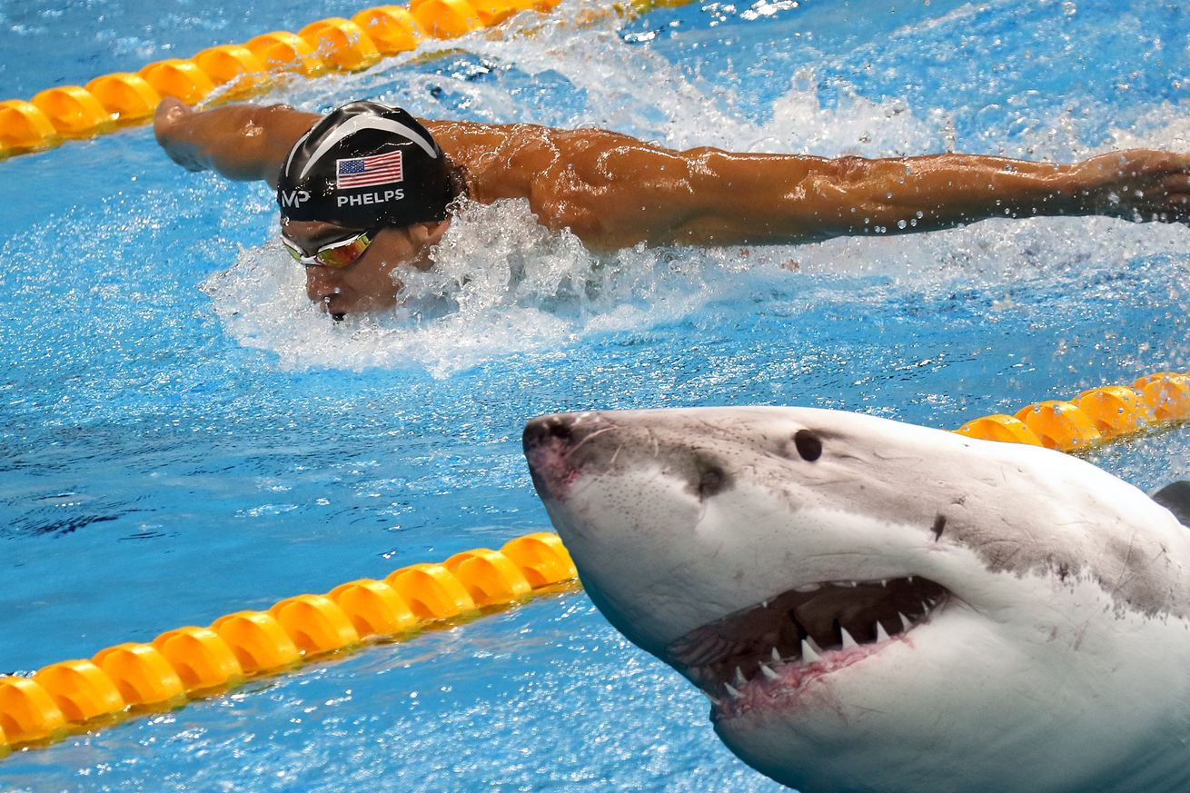 Michael Phelps Shark Week Discovery