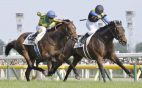 Japan horserace betting