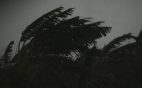 Hurricane Nate Shuts Down Gold Coast Casinos