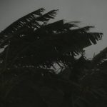 Hurricane Nate Causes Gulf Coast Casino Shutdown
