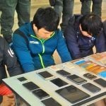 South Koreans Arrested for Running Online Gambling Sites in Thailand