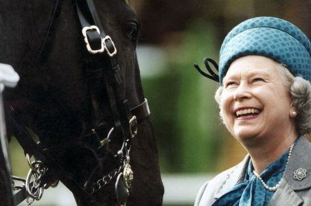 Queen Elizabeth, champion horse breeder