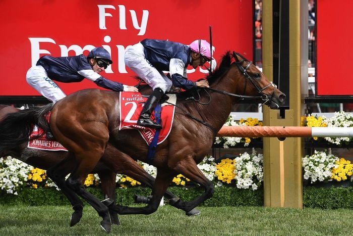 Rekindling, Melbourne Cup