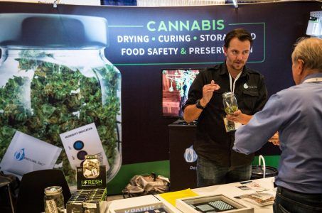 marijuana Nevada casinos gambling