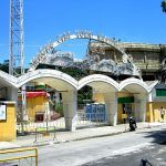Dog Racing in Macau to End with Closure of ‘Canidrome,’ But Activists Fear Greyhounds’ Fate