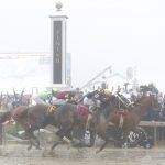 Justify Races Towards Triple Crown With Preakness Victory, Large Field Expected at Belmont