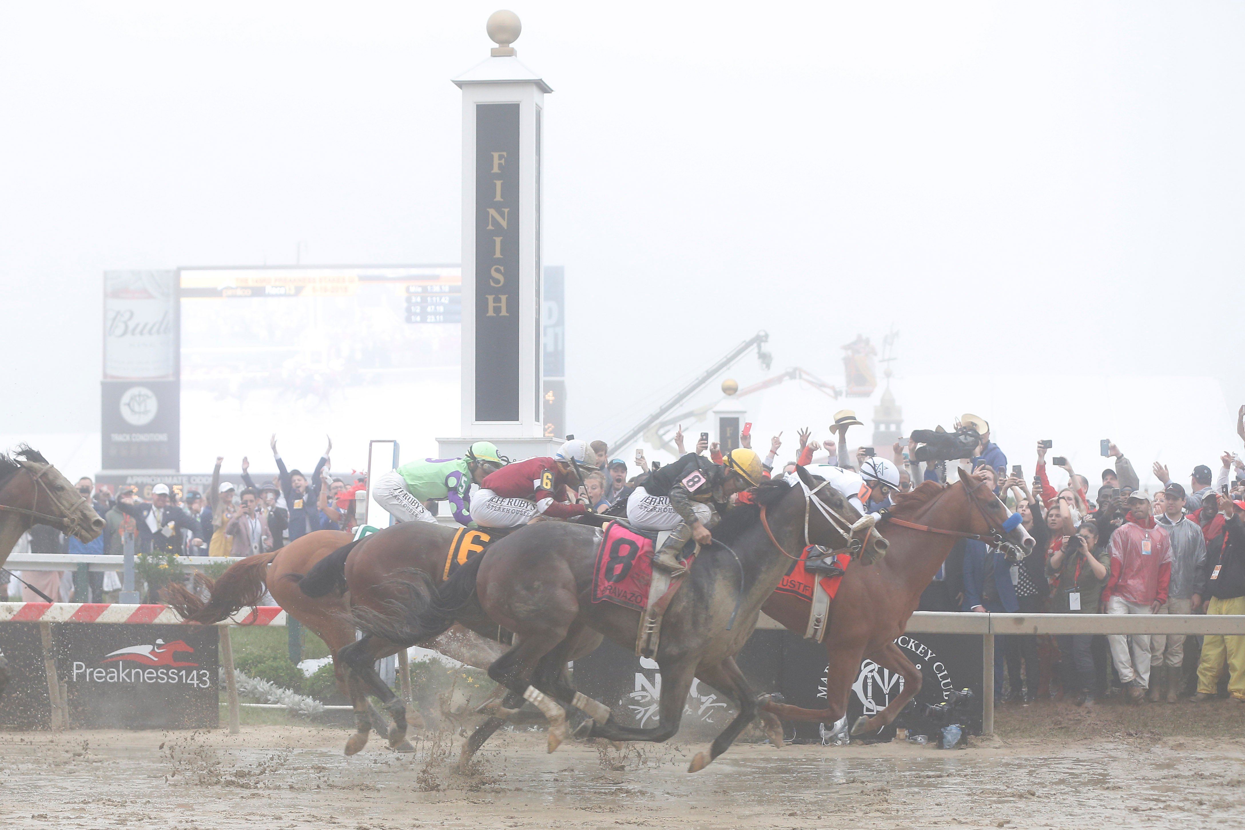 Justify odds Triple Crown Belmont