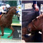 Belmont Stakes Favorite Justify Will Vie for Triple Crown Saturday, While Humane Society of US, ASPCA Shed Light on Dark Side of Horse Racing