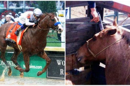 Justify Belmont Stakes