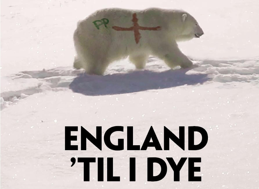 Paddy Power Polar Bear St George's cross