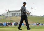 Tiger Woods odds golf Open