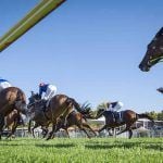 Racing Australia to Seize Laptops from Owners and Trainers Suspected of Betting on Illegal Markets