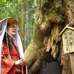 Wakayama Prefecture in Japan: Casino Operators Apply in Droves After Yokohama Shows Less Than Love