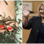 Las Vegas Fish (Pedicure) Story: Spa Craze Could Sink or Swim with Tourists If Legalized