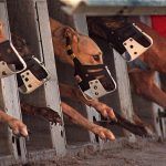 Florida Ballot Measure to Ban Dog Racing Bites Off More Controversy Than It Can Chew