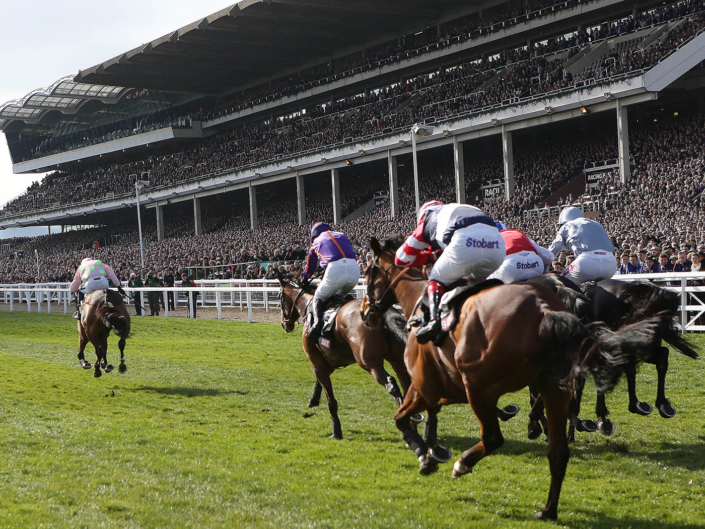 British horseracing