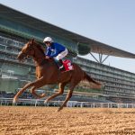 Filly Divine Image Listed as Morning-Line Favorite in Dubai Kentucky Derby Prep Race